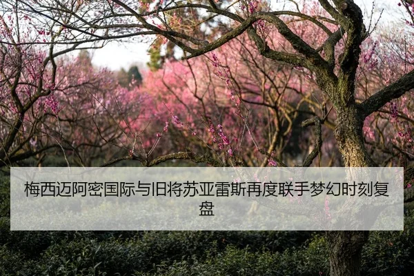 梅西迈阿密国际与旧将苏亚雷斯再度联手梦幻时刻复盘